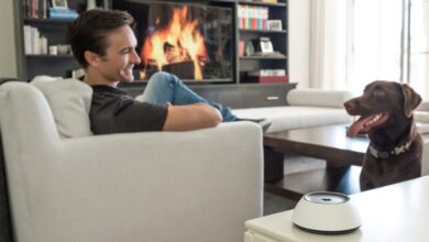 Voice-Controlled Home